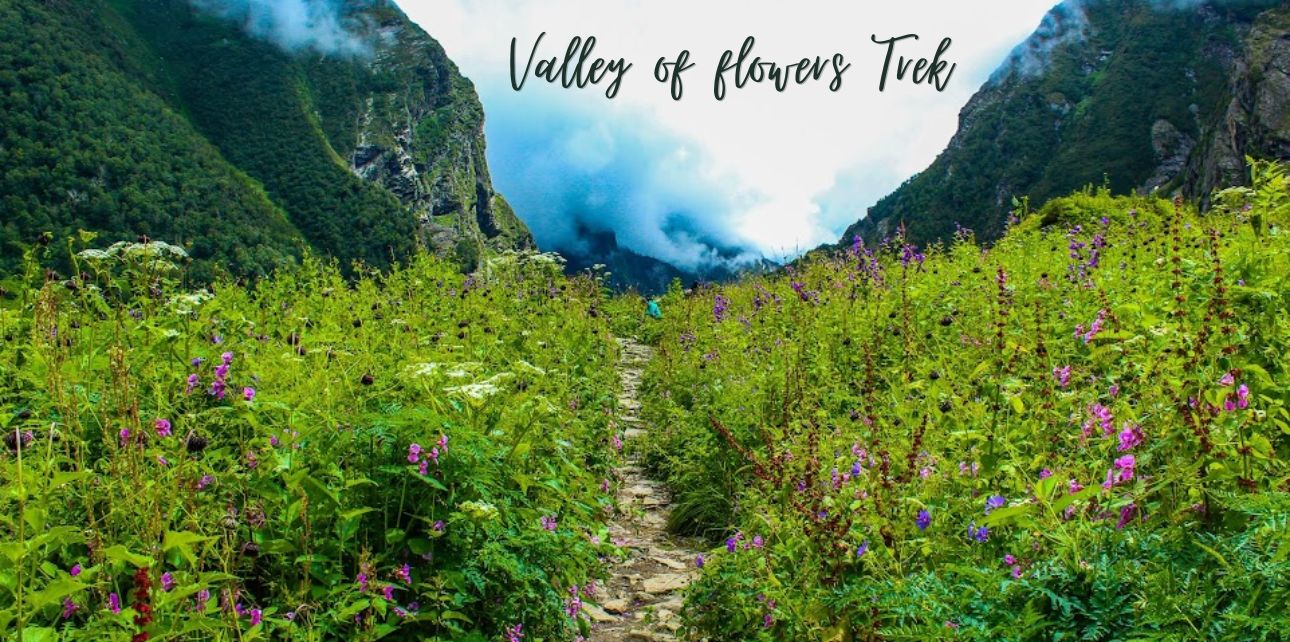 Valley of flowers Trek